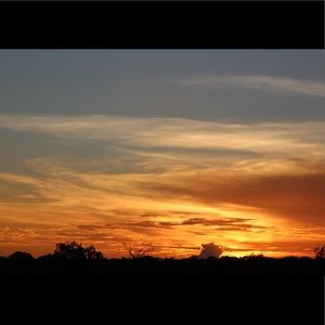 Meet your Posher, Neluka